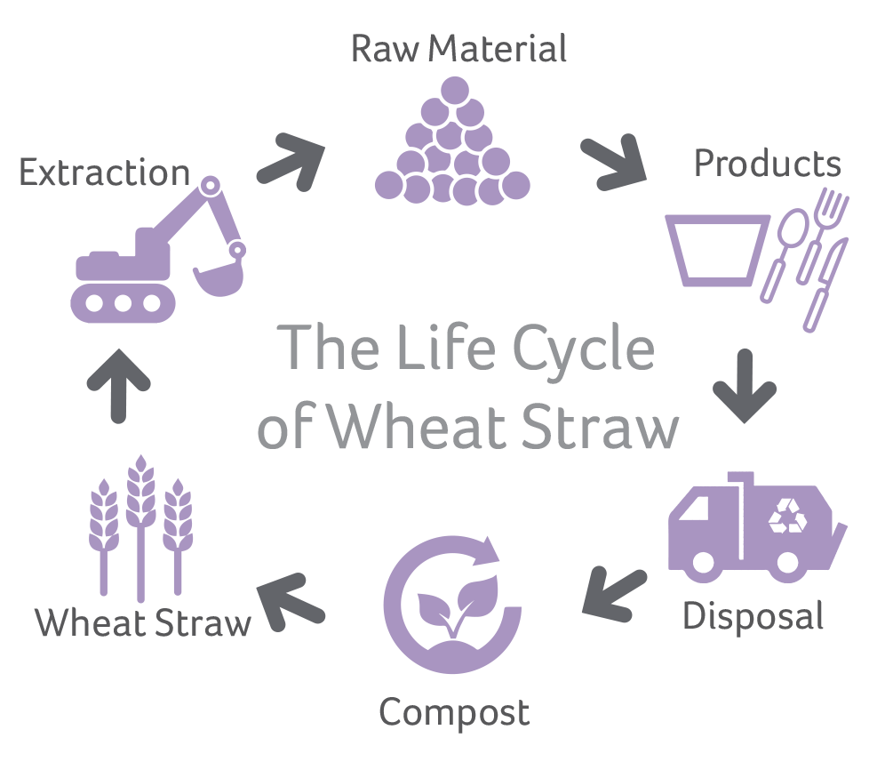 Why Wheat Straw Packaging Is a Win for the Environment